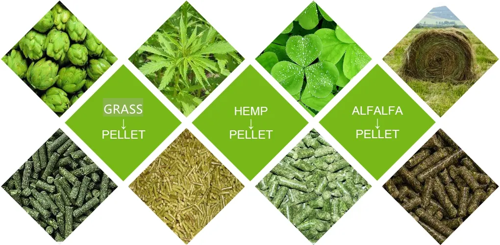 Grass Pellet Machine Related Video