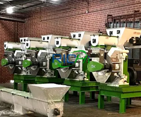 10 TPH Rice Husk Pellet Machine in the USA