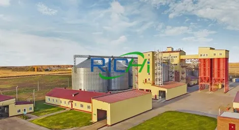 30TPH animal feed production line in Vietnam