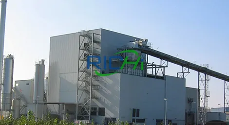 6-8 TPH Wood Pellet Production Line in Russia