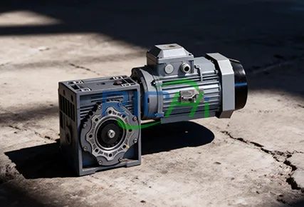 the forced feeder of the goat feed pellet making machine