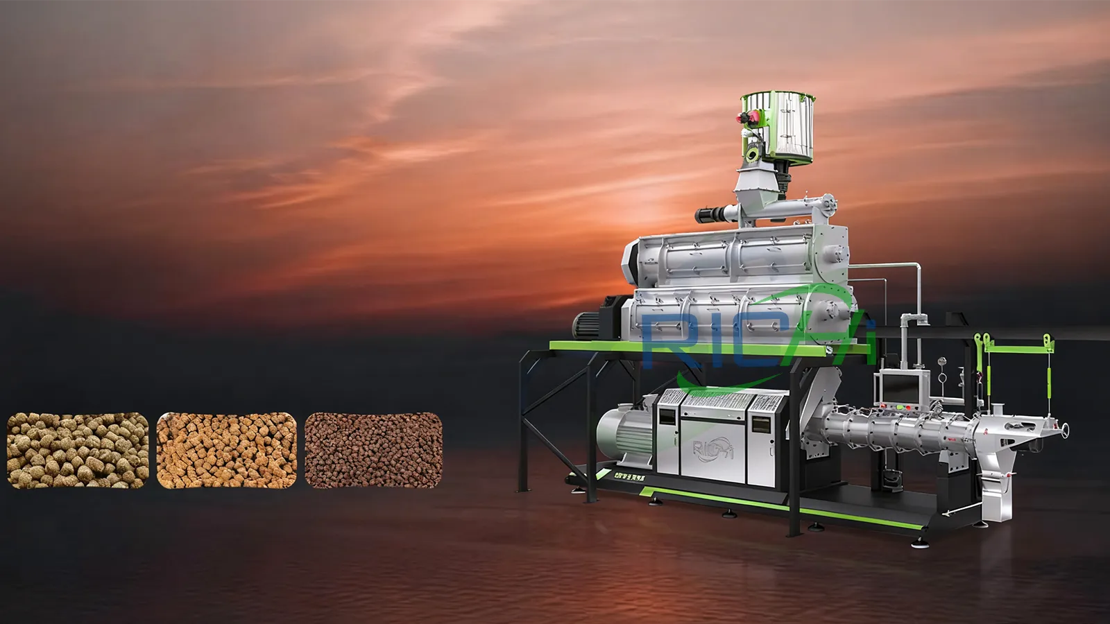 RICHI Pet Food Extruder in Russia