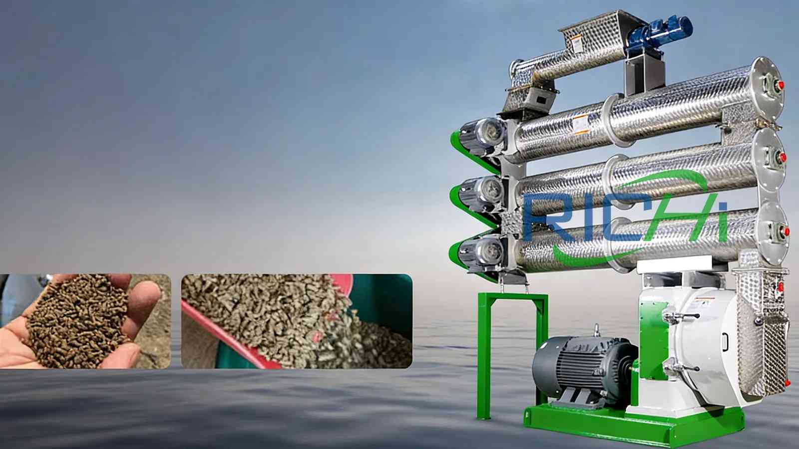 RICHI shrimp feed pellet machine Showcase