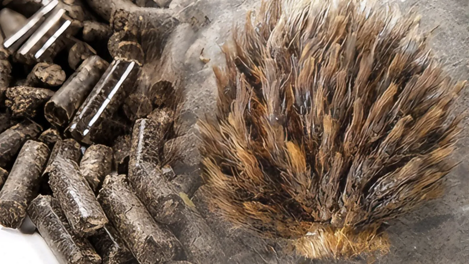 Test Run Video of EFB Pellet Machine