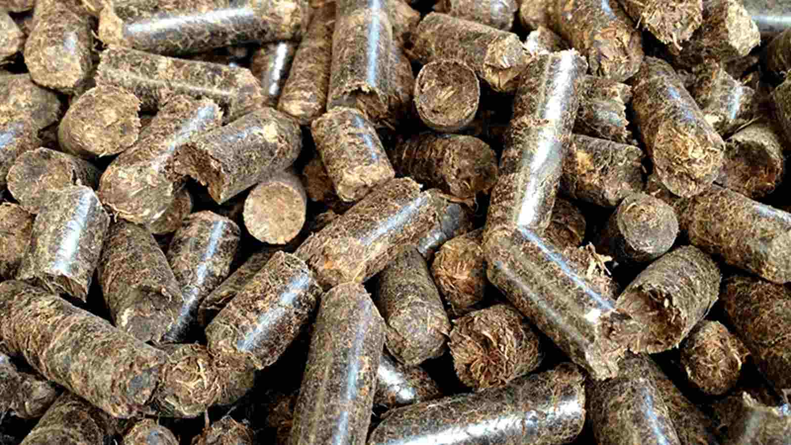 feed pellets based on EFB pellets and soybean meal in Peru