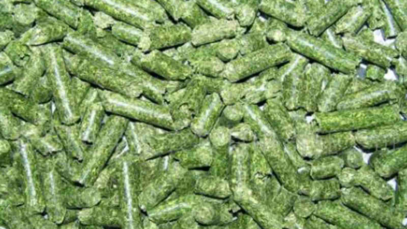 Biomass pellet production line in Argentina