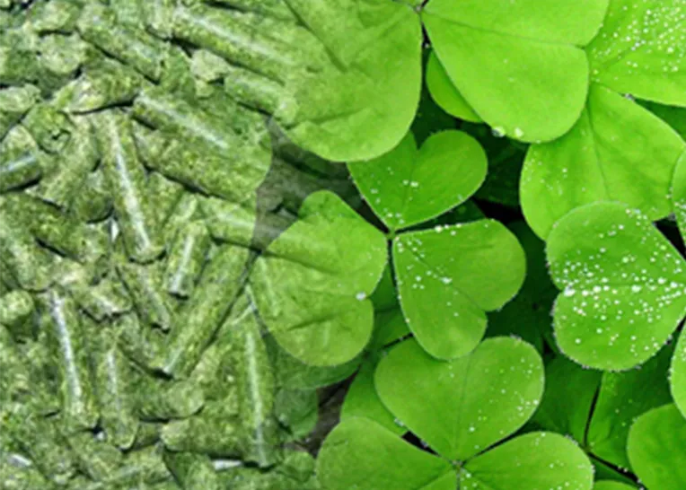 biomass alfalfa pellet